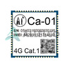 CA-01