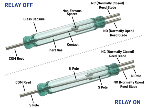 Reed Relays